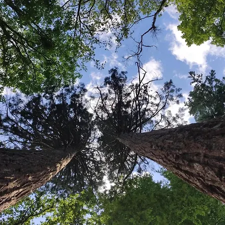 Chalet, Semesterbostad