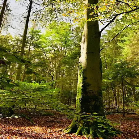 Chalet, Semesterbostad Wendorf (Kuhlen-Wendorf)