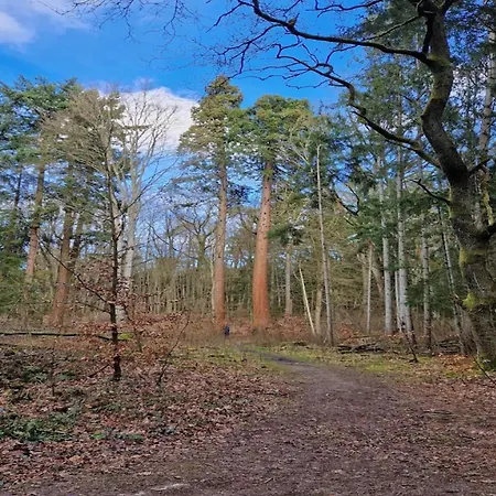 Chalet, Semesterbostad
