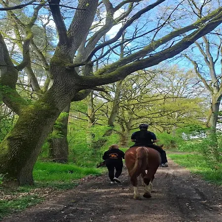 Chalet, Semesterbostad *