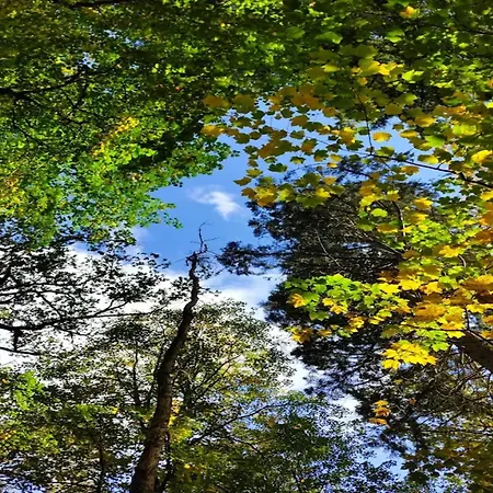 Semesterbostad Chalet, Wendorf (Kuhlen-Wendorf)